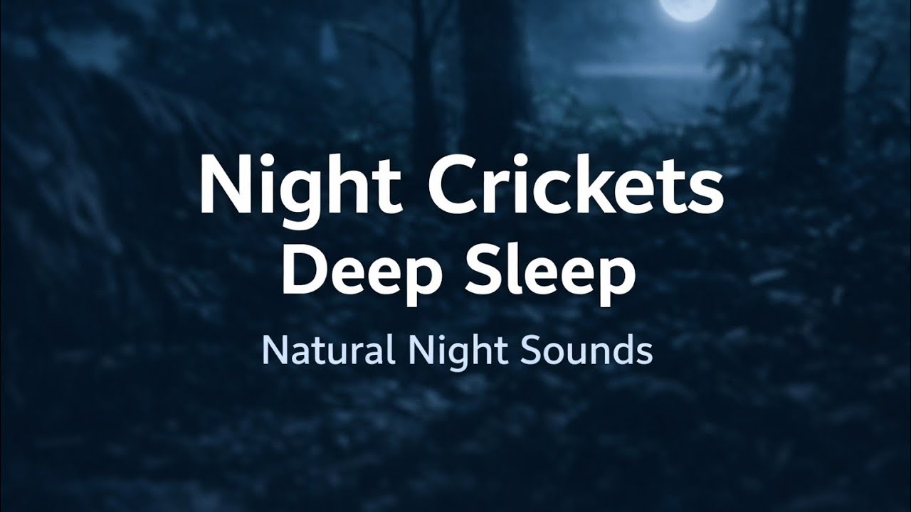 Peaceful Night Insects (27 Min) | Crickets for Deep Sleep