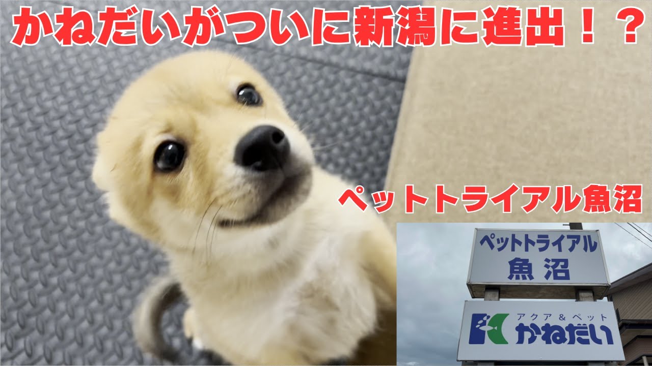 【ショップ紹介】新潟に新しくできた
