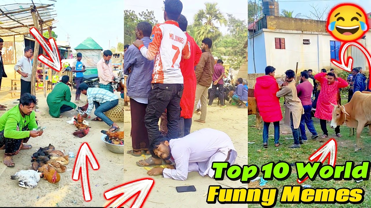 Top 10 funny video 😂 I funniest memes in the world | funny videos try not to laugh challenge.
