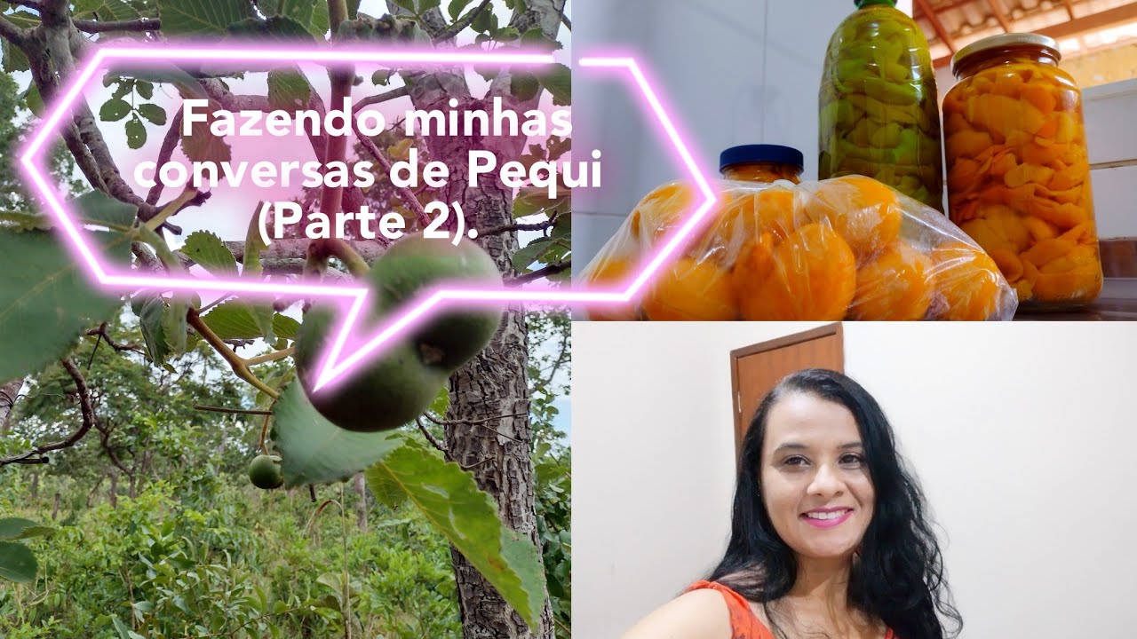 Fazendo minhas conversas de Pequi (Parte 2)