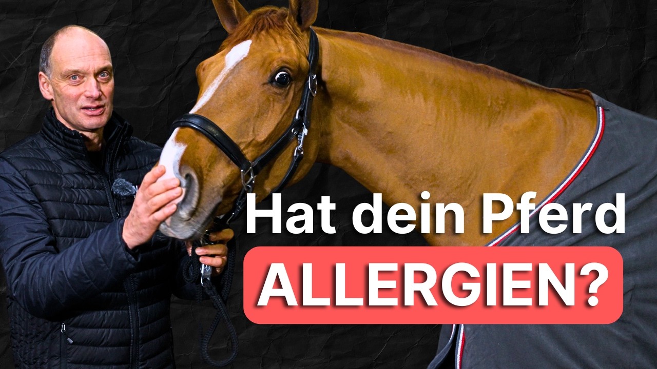 Hat mein Pferd eine Allergie? Symptome, Test & Behandlung im Überblick