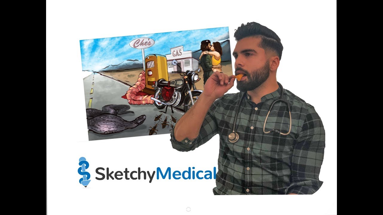 Student Doctor Uses Cartoons to Learn Medicine - SketchyMedical + GIVEAWAY