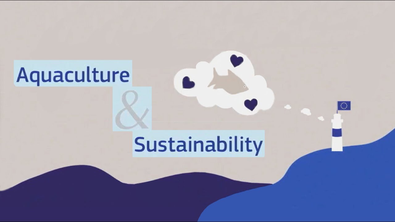 Aquaculture & Sustainability &ndash; Science for Environment Policy