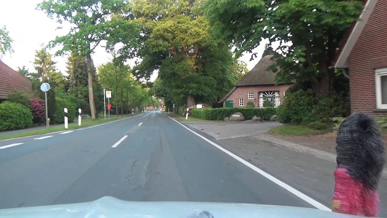 Westerloy Ammerland 8 6 2013