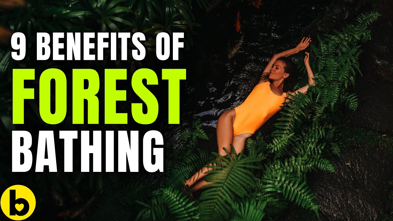9 Health Benefits Of Forest Bathing, And Why You Need To Try It