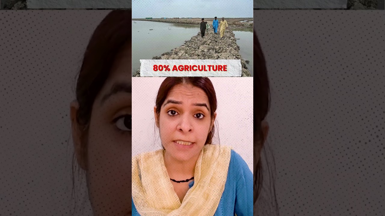 CAN INDIA ACTUALLY CUT OFF PAKISTAN'S WATER? #india #pakistan #induswatertreaty #induswaterstreat...