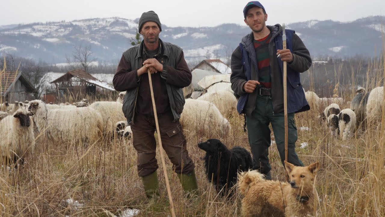 VEĆ 3 MJESECA ŽIVIMO U ŠATORU