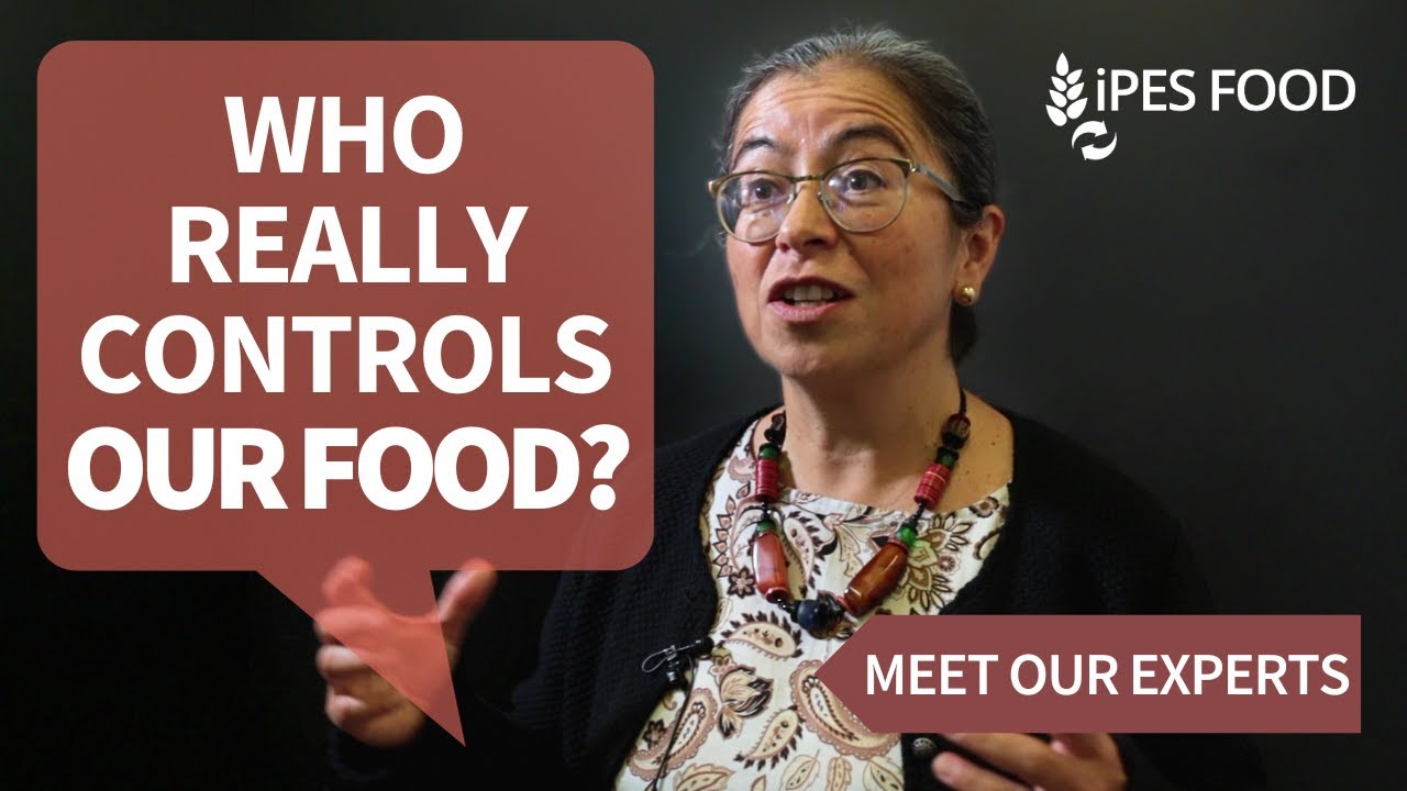 Countering corporate control of our food system | IPES-Food&rsquo;s Sof&iacute;a Monsalve Su&aacute;rez