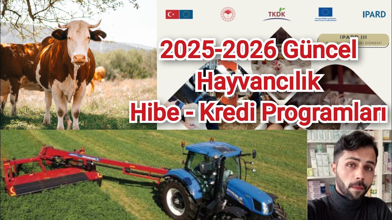 2025-2026 G&uuml;ncel Hayvancılık Hibe ve Kredi Destekleri 