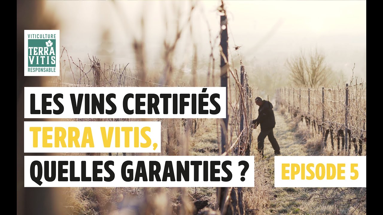 ALSACE : Les bonnes démarches Terra Vitis au Domaine Ostermann