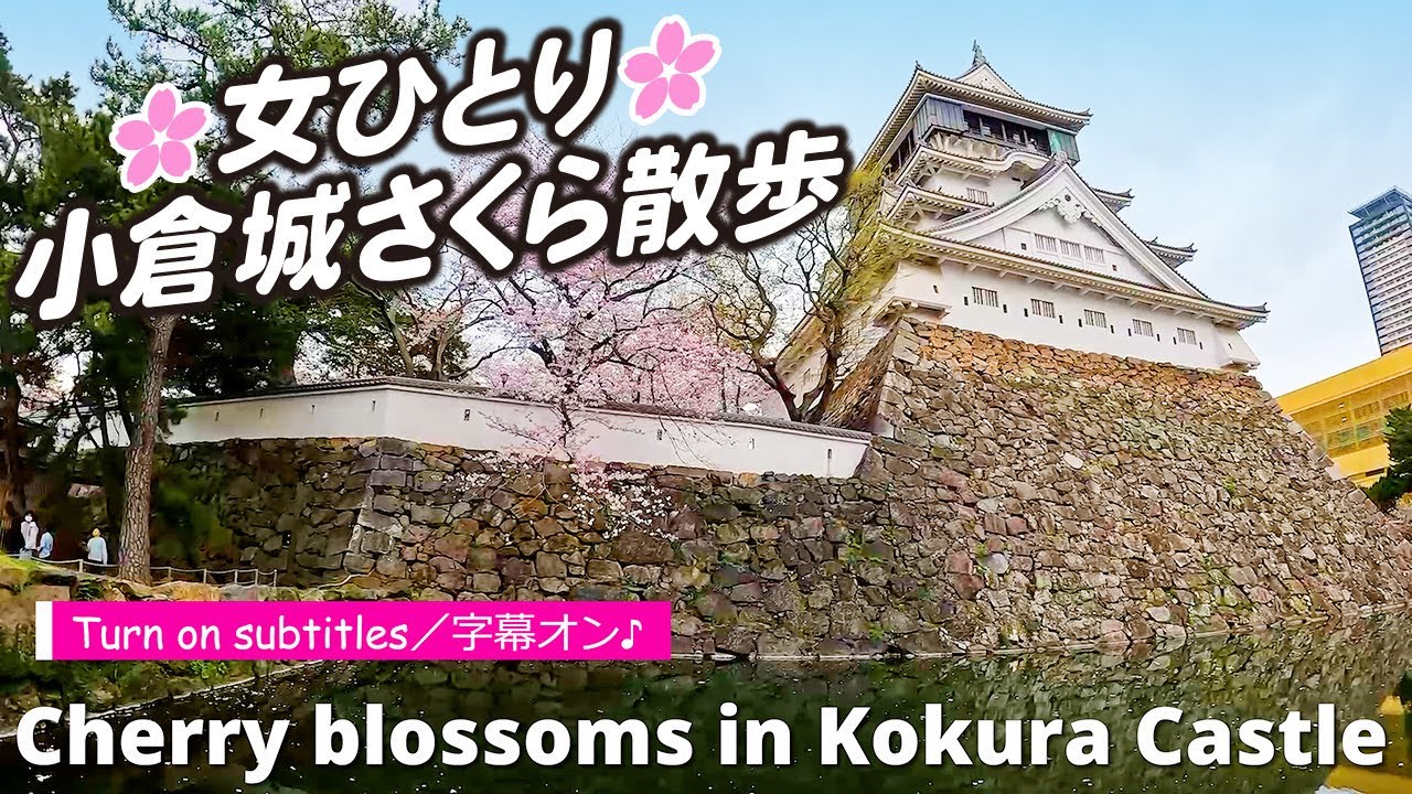 ＊女ひとり＊桜満開の小倉城をひたすら歩いてみた｜福岡北九州｜Japan Vlog｜4Ｋ