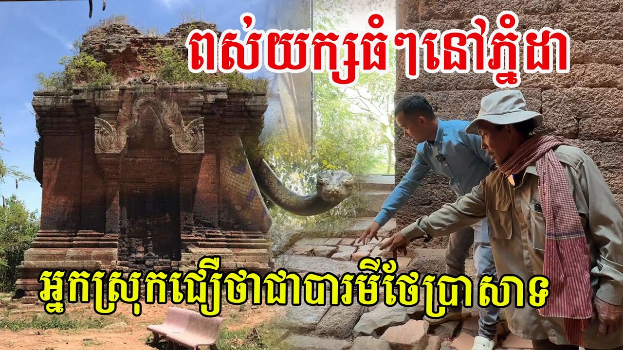 ពស់យក្សធំៗបង្ហាញខ្លួននៅភ្នំដា អ្នកស្រុកនិយាយថាអាចជាបារមីថែប្រាសាទ