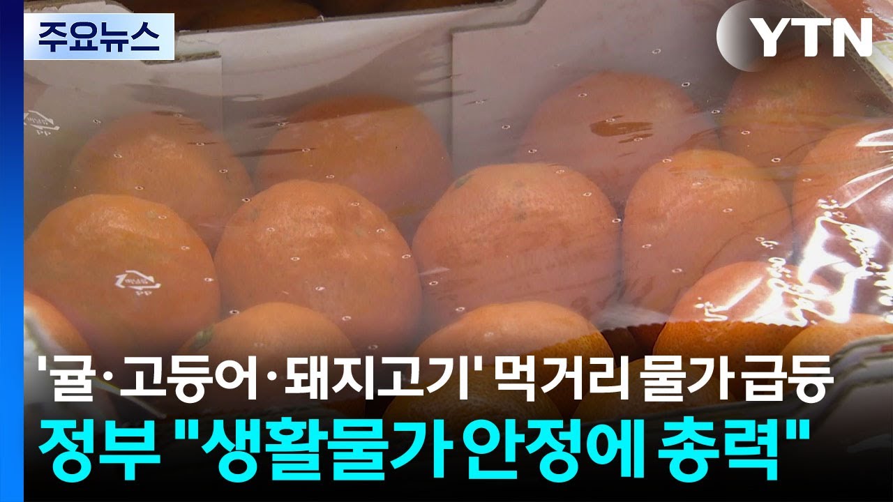 &rsquo;귤&middot;고등어&middot;돼지고기&rsquo; 먹거리 물가 급등...정부 