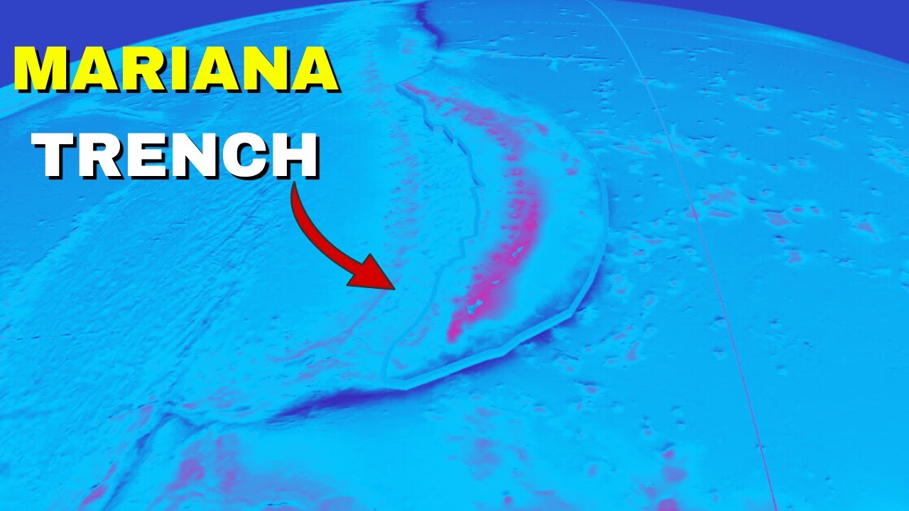 Life at 11,000 Meters — The Creatures Found in the Mariana Trench