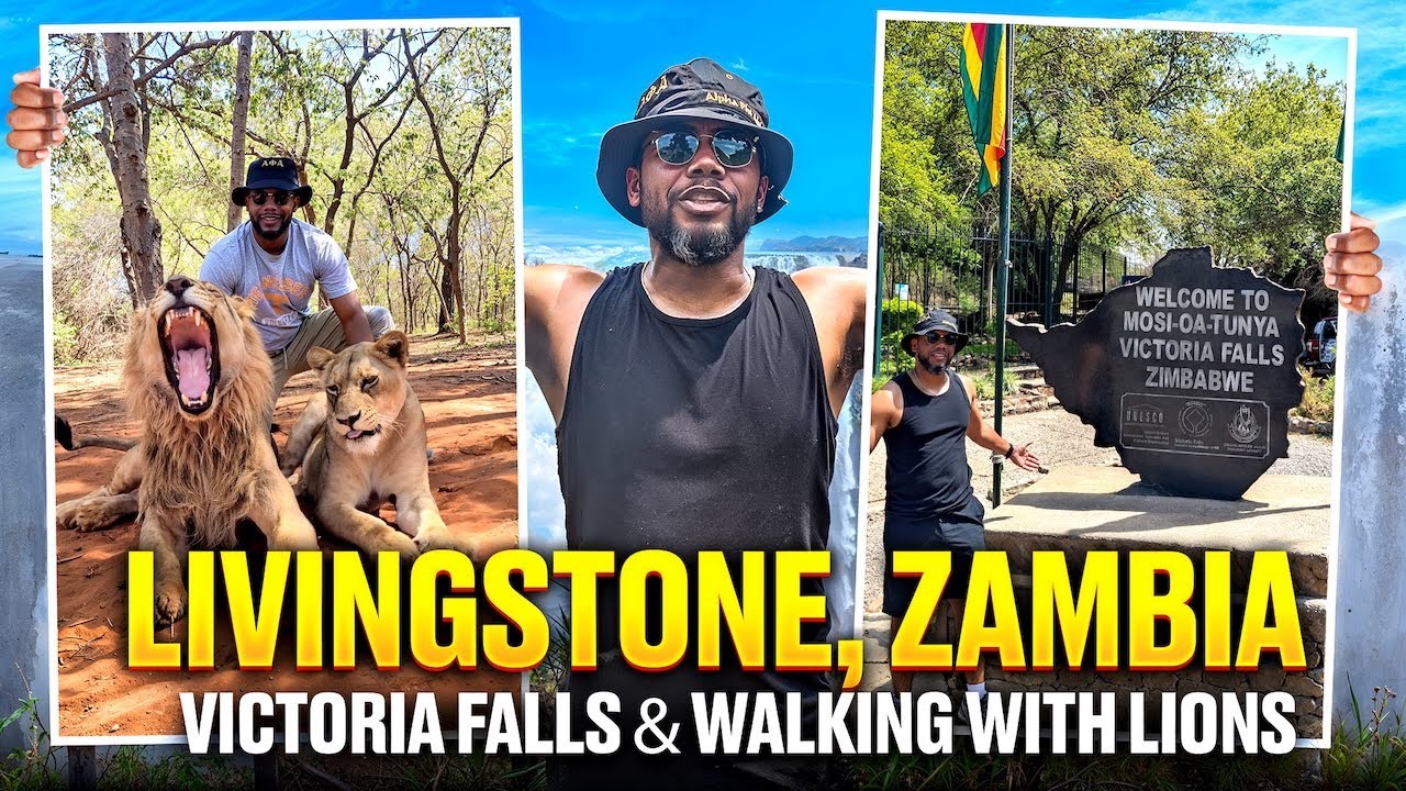 My Livingstone, Zambia Adventure | Victoria Falls, Lion Walk & Zambezi Sunset Cruise