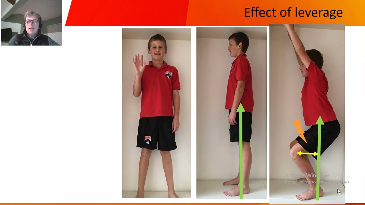 Effect of farriery on locomotor biomechanics