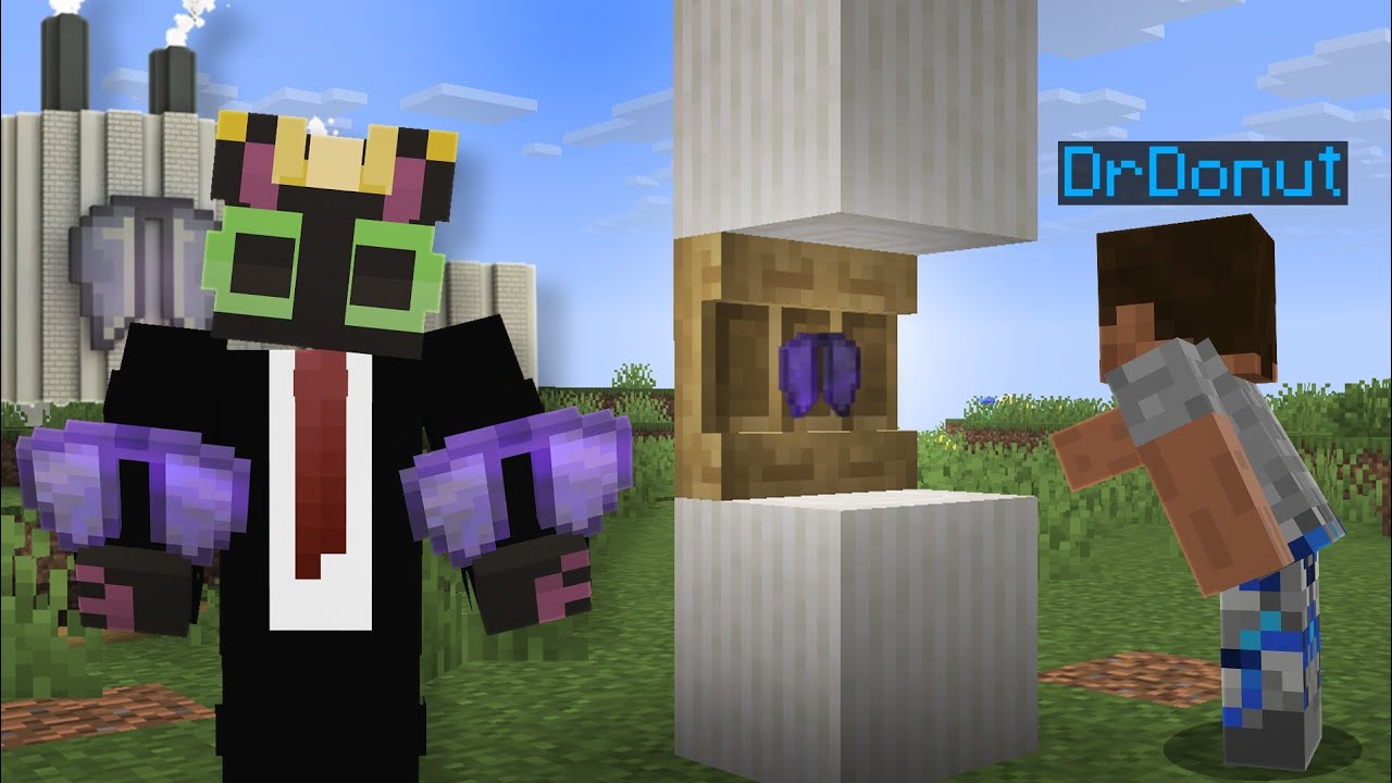 I stole Elytra's using 