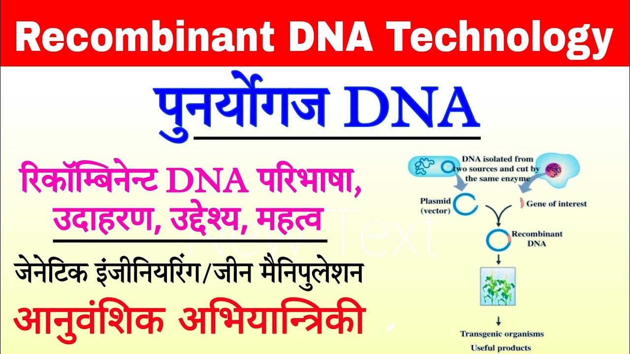 Recombinant DNA Technology | genetic engineering in hindi | biotechnology principles | पुनर्योगज DNA