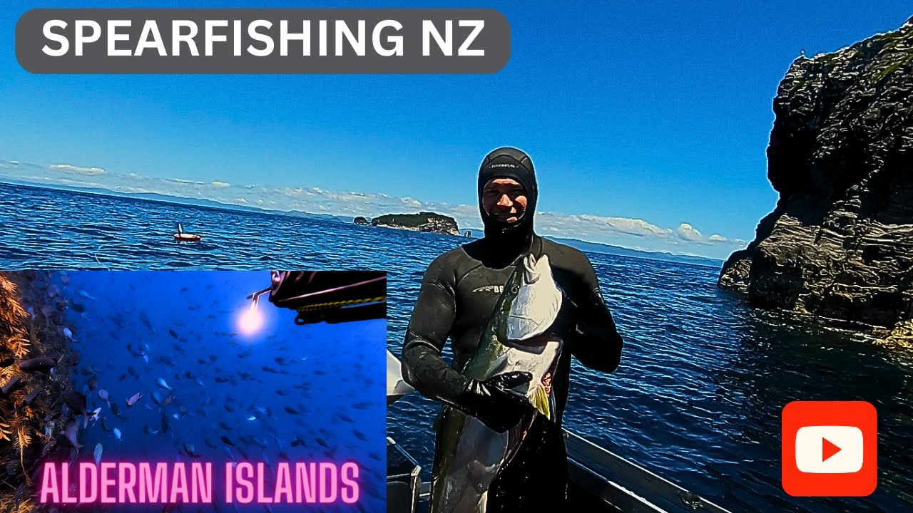 Diving NZ Coromandel King fish