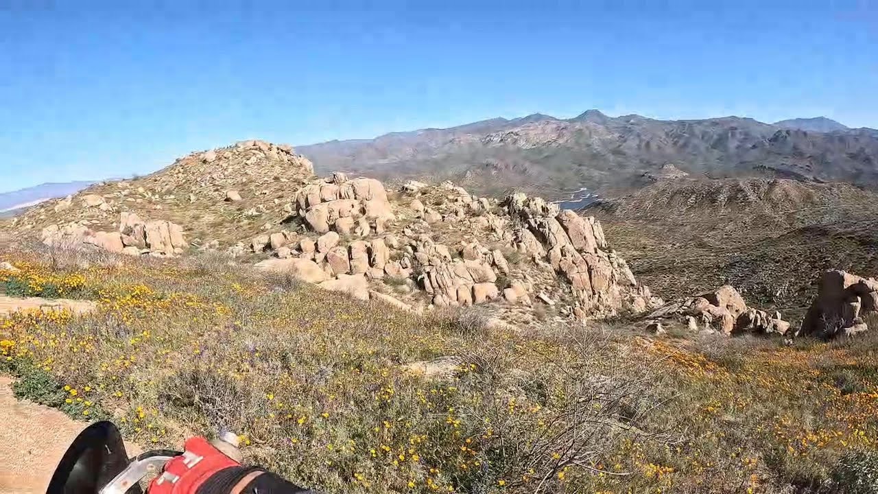 Smell the flowers, Feel the cactus!