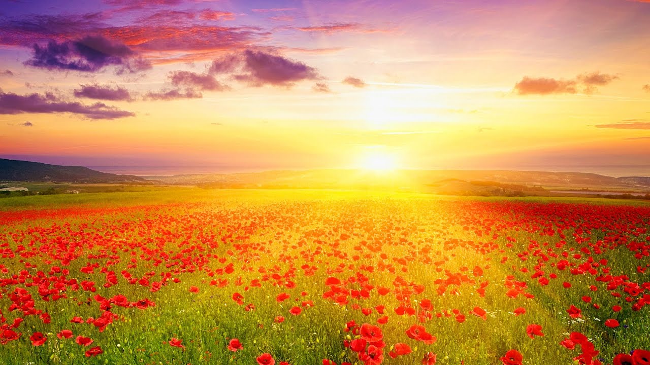 Boost Positive Energy. Peaceful Meditation Music. Stress Relief