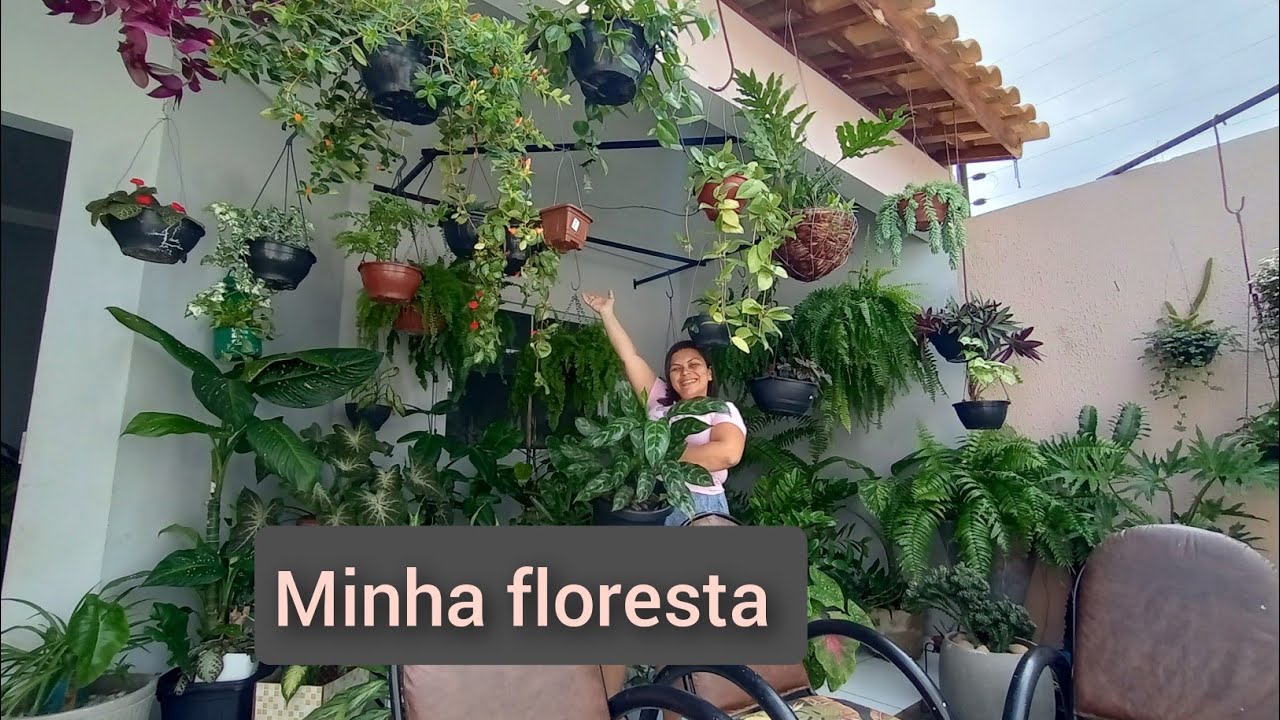 Uma verdadeira floresta,transformei minha casa em um paraíso verde . Gratidão #1k #urbanjungle