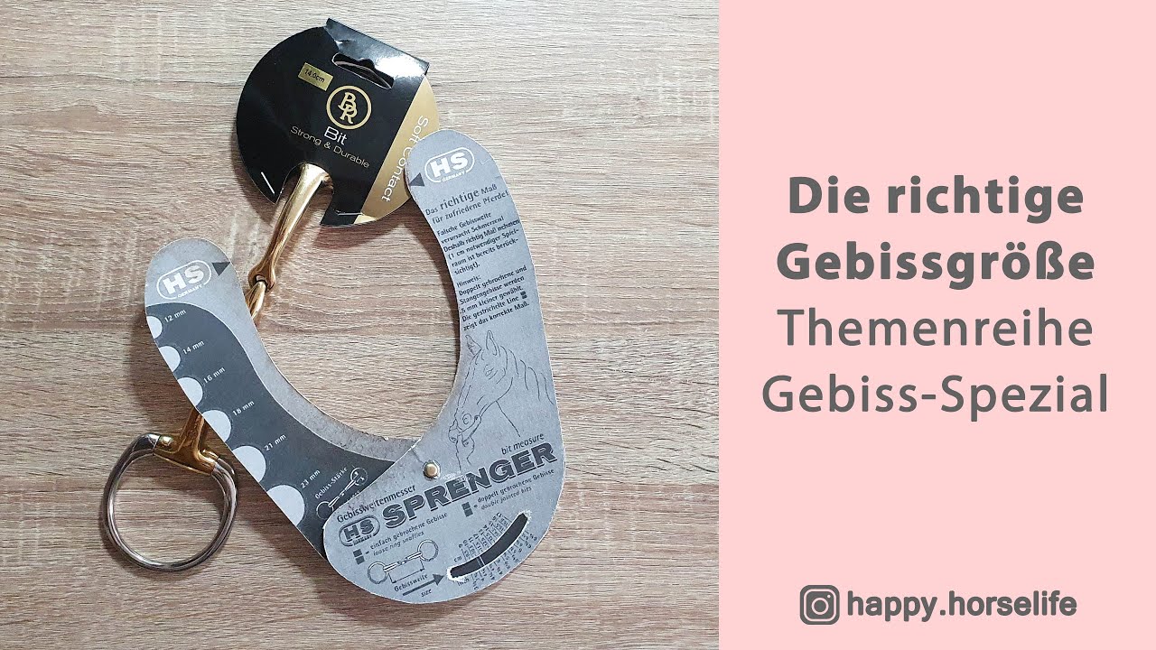Gebissgröße richtig messen | Gebissweite, Gebissbreite, Gebissdicke | Gebisse im Vergleich