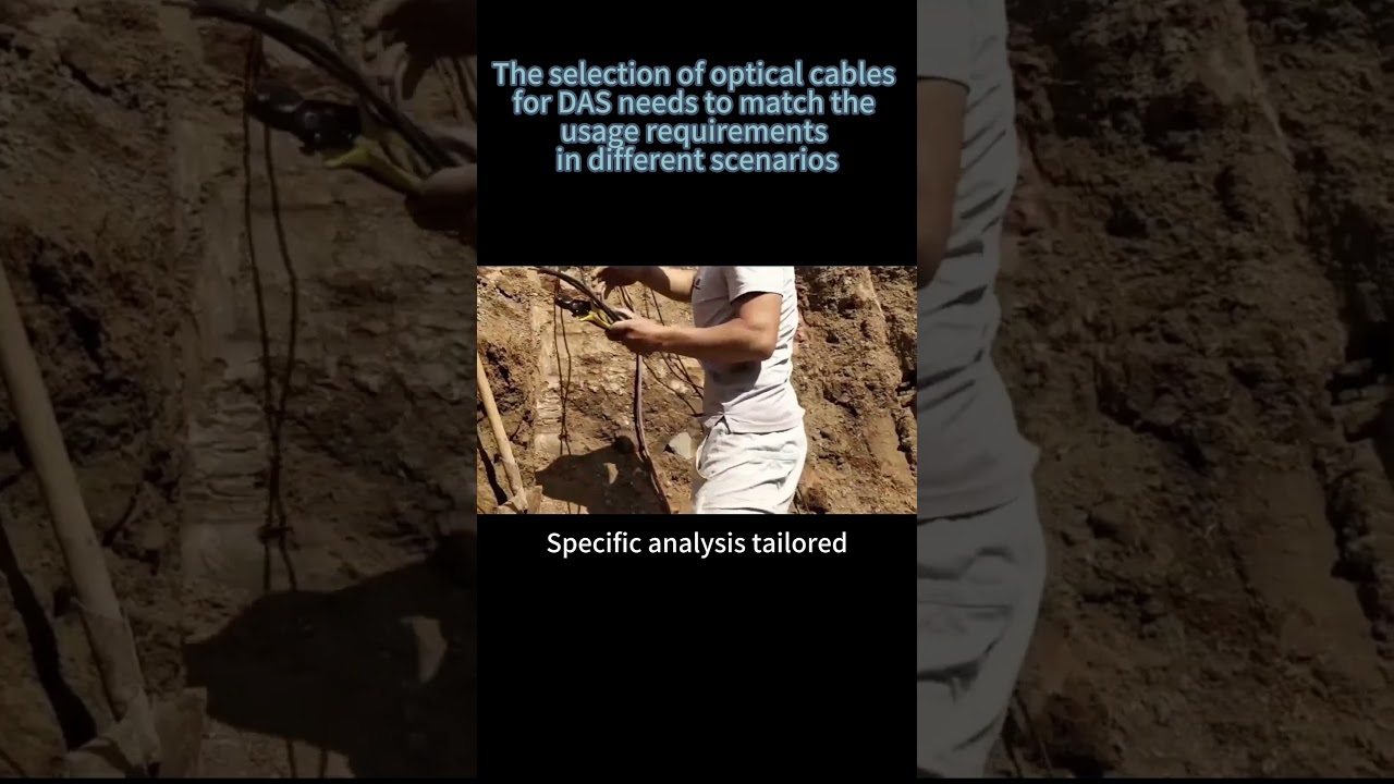 Distributed Acoustic Sensing (DAS) systems