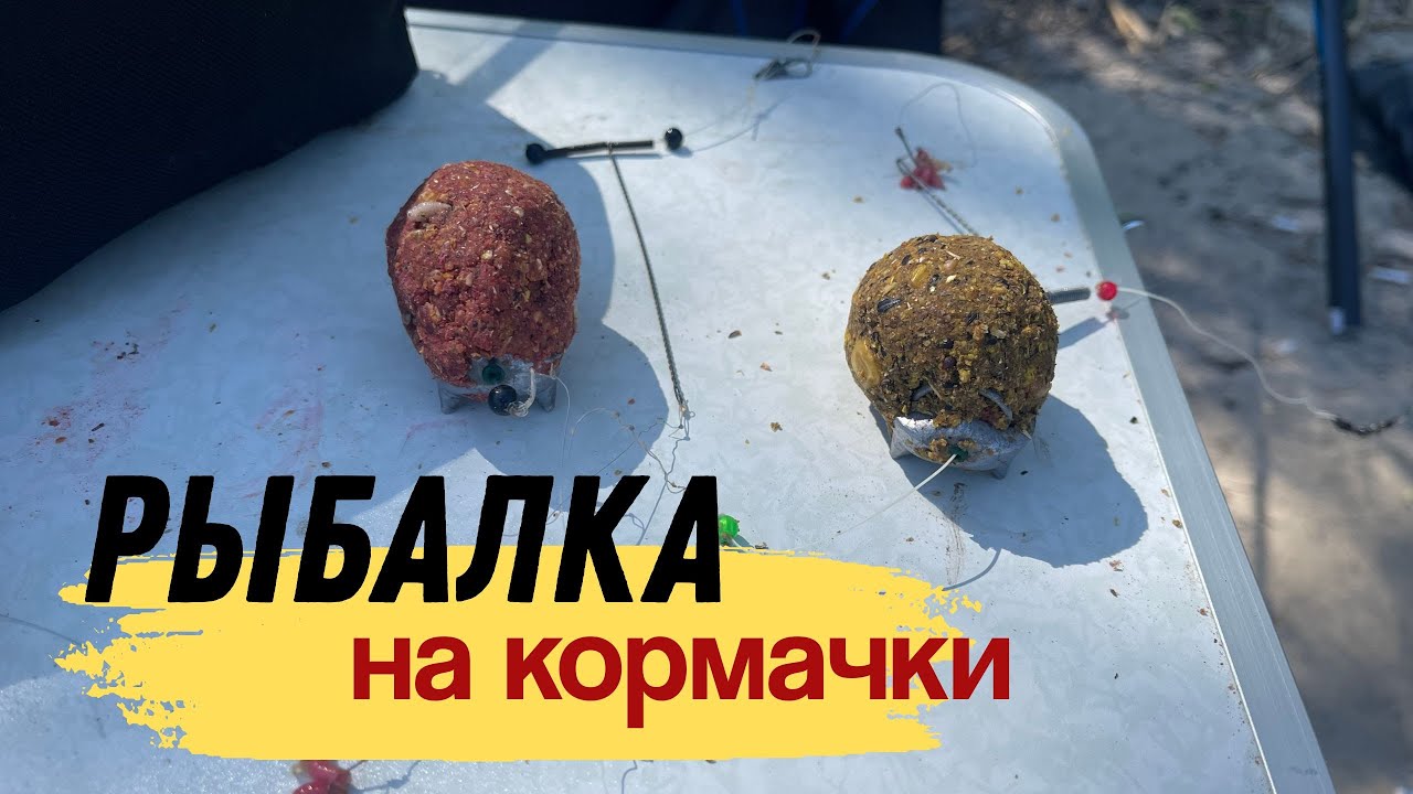 РЫБАЛКА НА КОРМАЧКИ. РЫБАЛКА И ОТДЫХ НА РЕКЕ С МАЛЫМ ТЕЧЕНИЕМ.