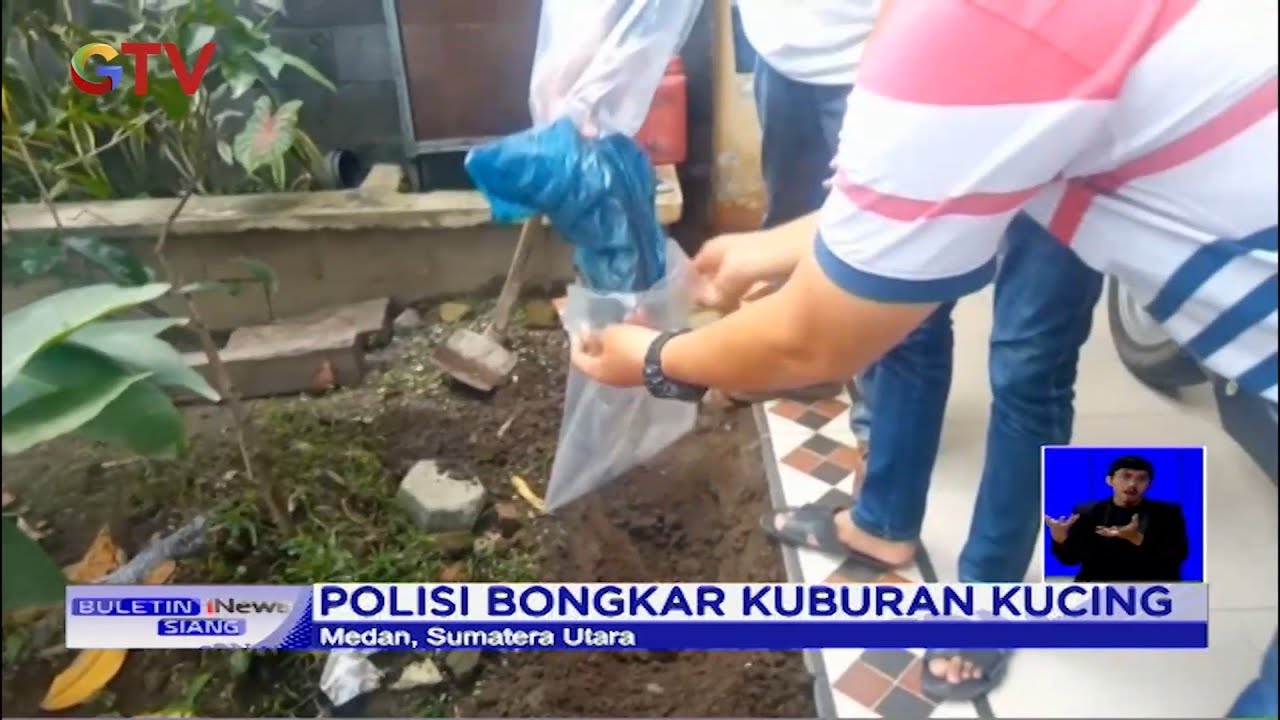 Viral! Kasus Rumah Jagal Kucing di Medan Terus Diusut Polisi - BIS 31/01