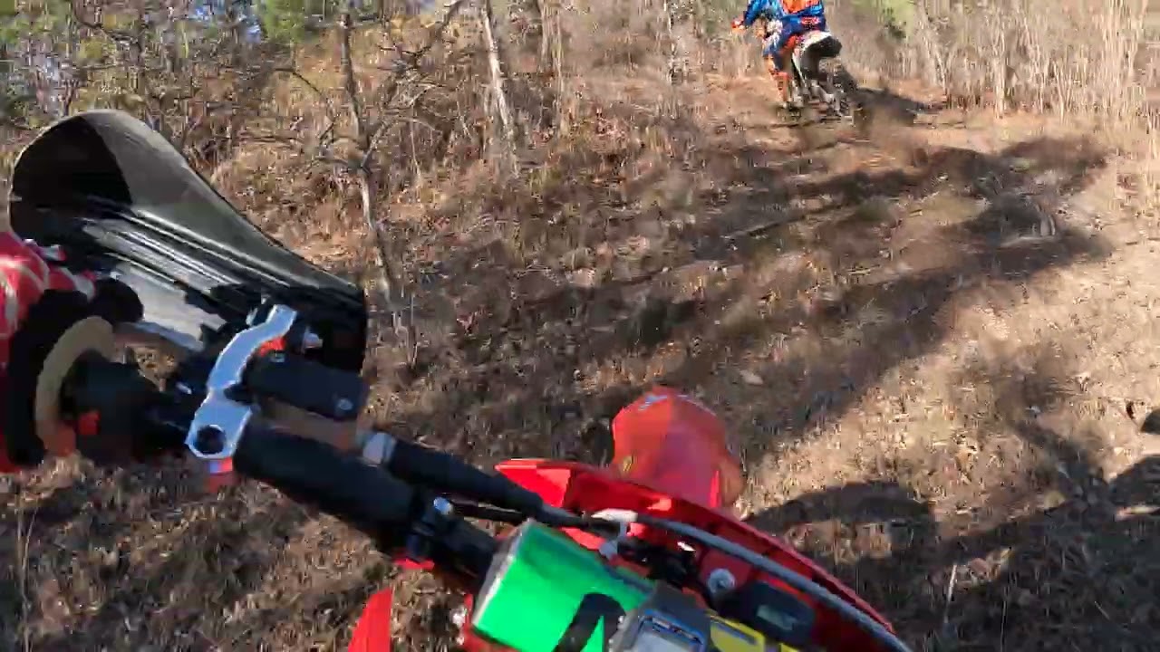 Harescramble training loop 