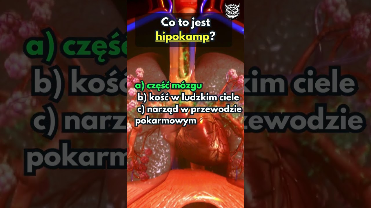 Anatomia człowieka cz. 3#anatomia #medycyna #quiz #testy #m&oacute;zg #ciało #ciala