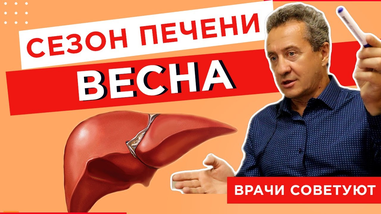 ПЕЧЕНЬ - самый важный орган сезона весна (Часть1)
