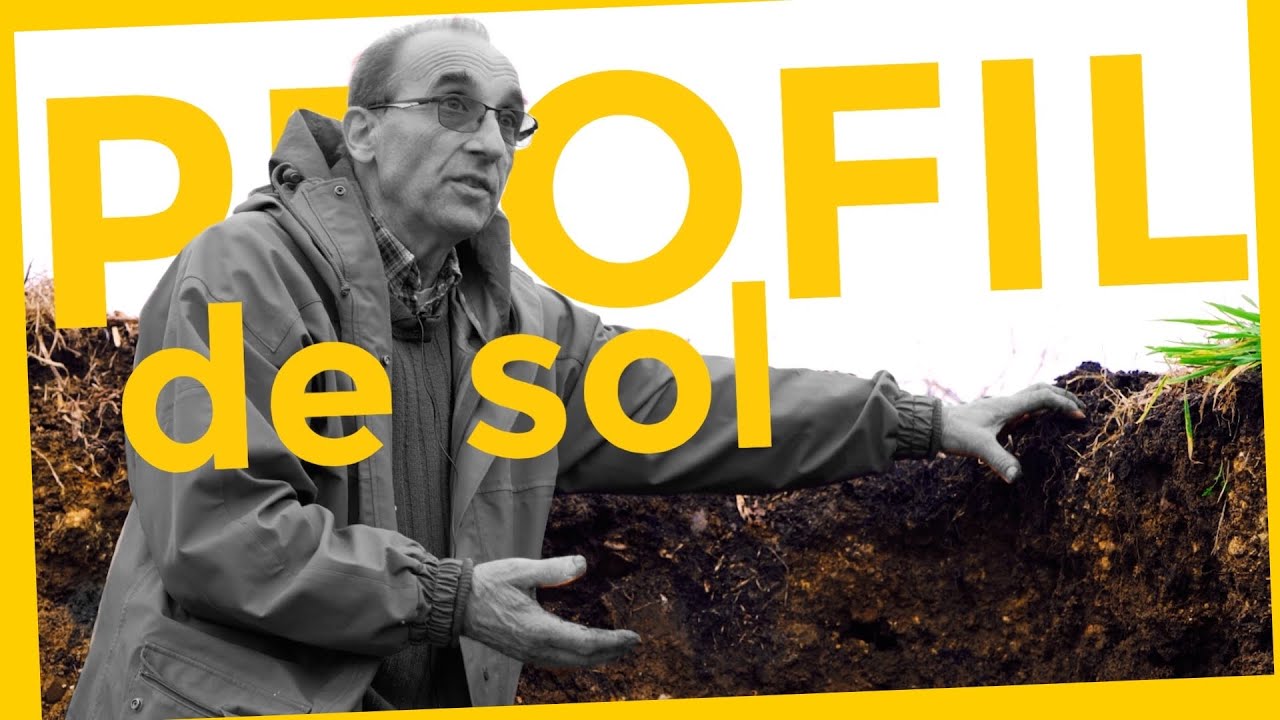 Profil d'un sol vivant avec François Hirissou