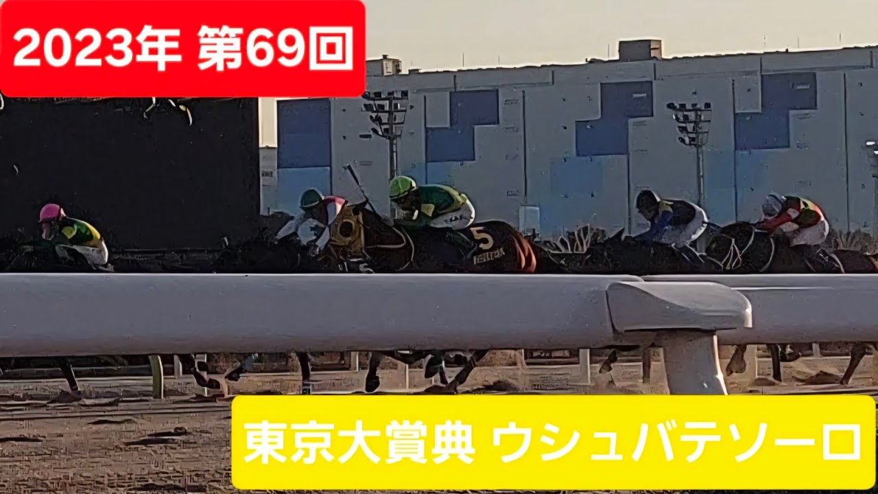 【現地映像】2023年第69回東京大賞典優勝馬ウシュバテソーロ号