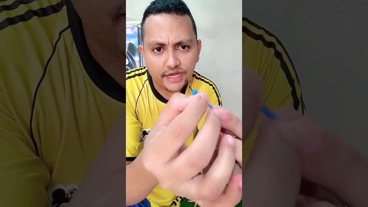 Como anilhar seus pintinhos. #galo #galomura #galocombatente