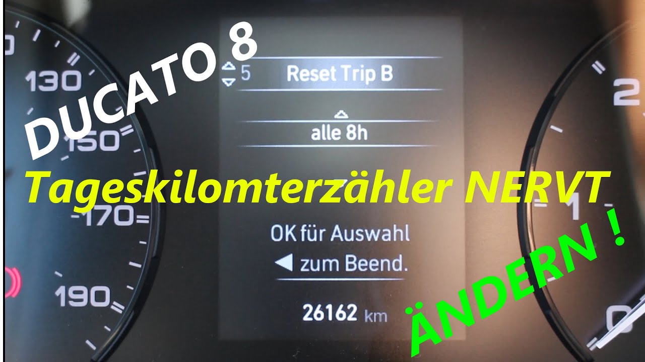 Tageskilometerzähler NERVT Trip B Reset individualisieren DUCATO 8