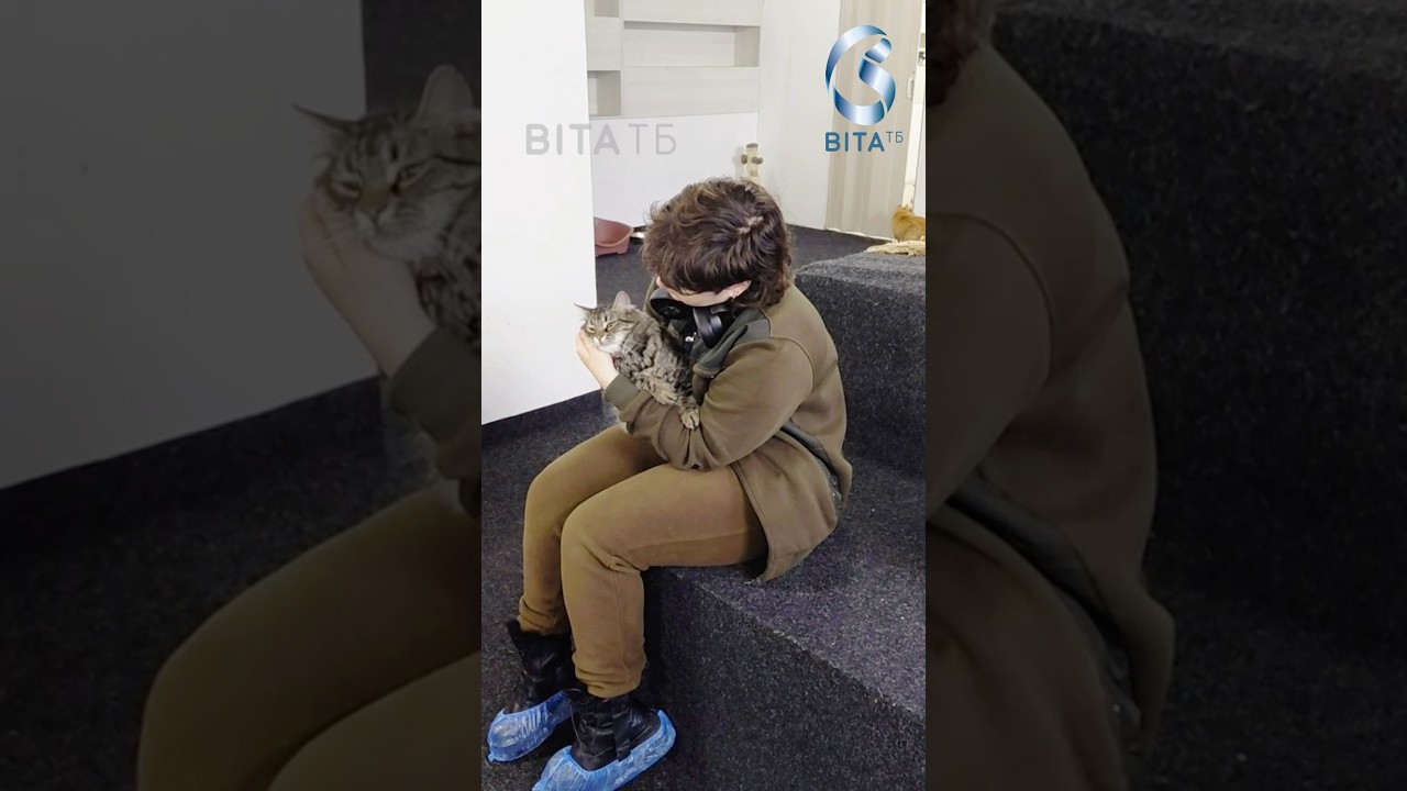 У центрі Вінниці відкрили кавʼярню, де мешкають врятовані коти