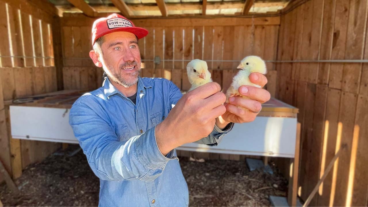 Arrival of Spring Babies and the Start of the Busy Season