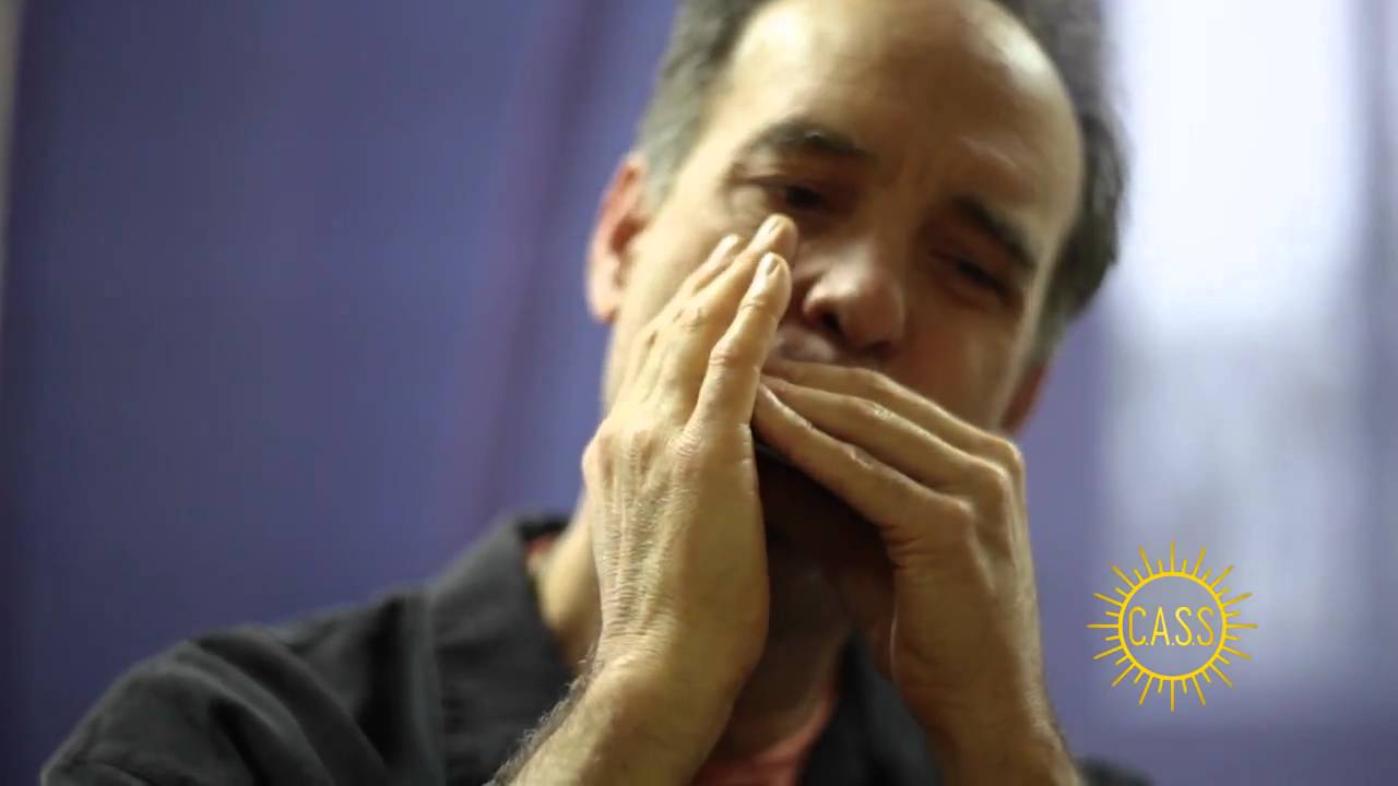 Seydel Session Steel medley , G harp