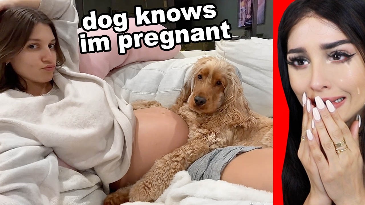 Wholesome Videos That Will Make You Smile