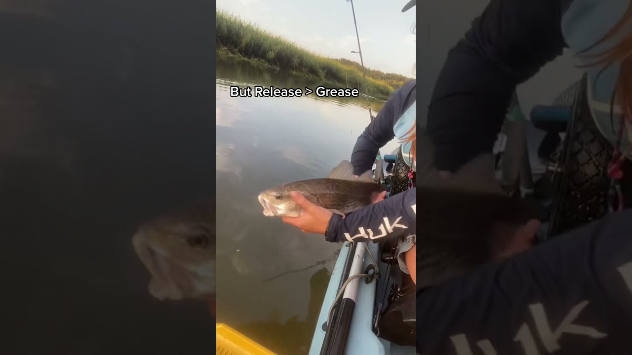 Love watching em Swim off! #catchandrealease #kayakfishing #saltwater #fish