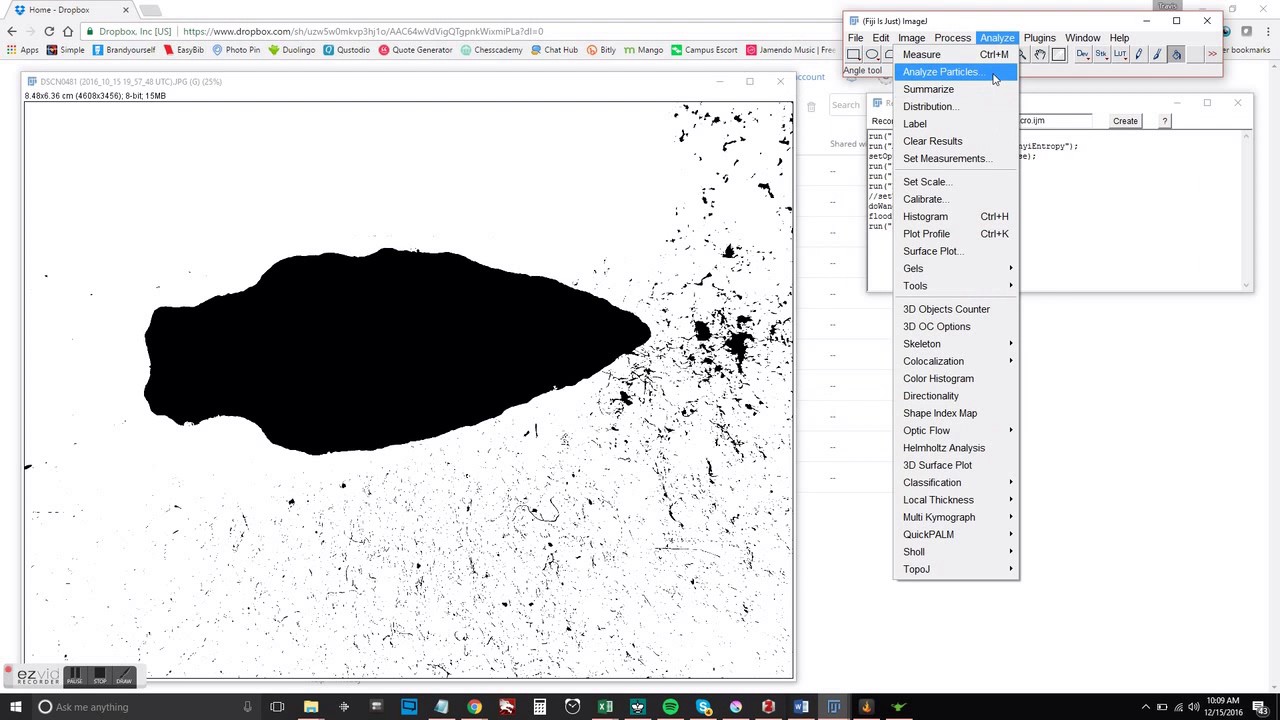 Computer Assisted Morphometric Analysis With ImageJ