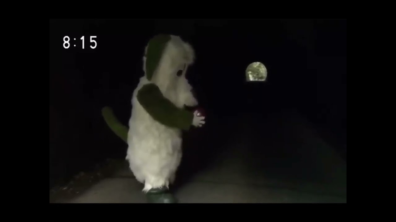 ワンワントンネル