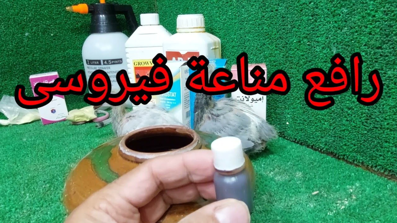 الجدرى ظهر فى الشتا ايه السبب وايه الحل والعلاج