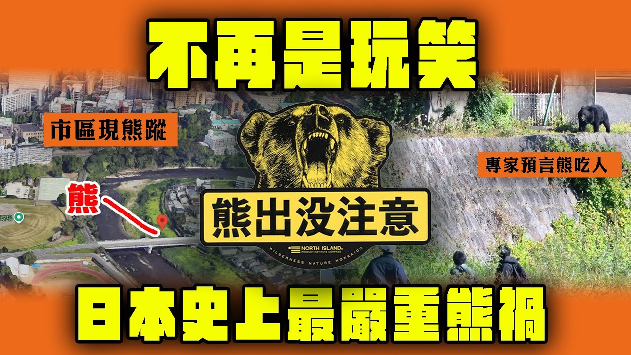 「熊出沒注意」不再是玩笑！日本史上最嚴重熊禍 市區驚現熊蹤 專家恐怖預言：或視人類為食物｜Channel WE HK