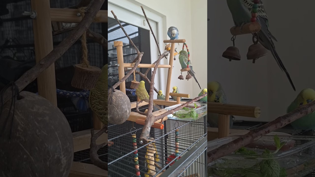 Play gym day 