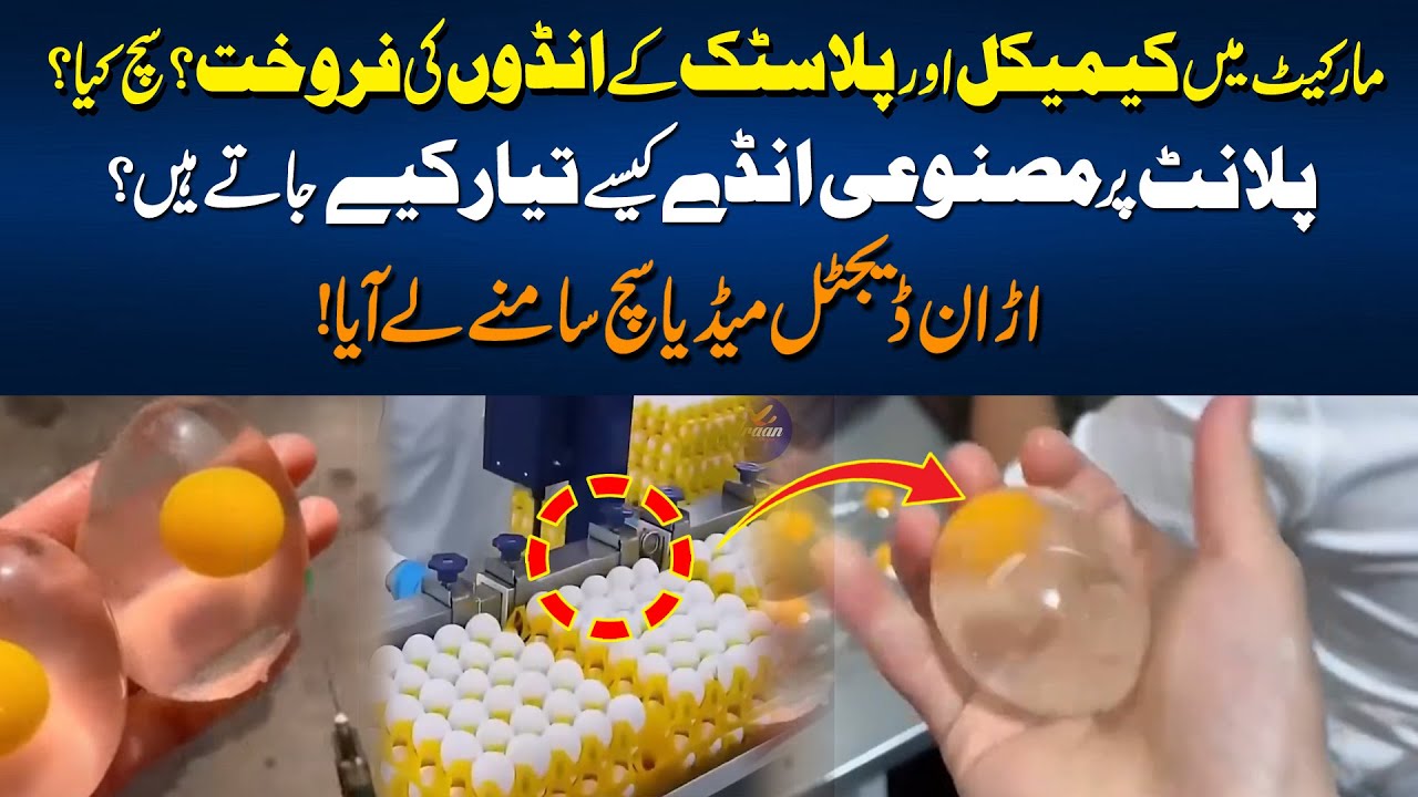 Fake Eggs Exposed | Are Plastic Eggs Really Being Sold? Full Investigation | Food Authority Version