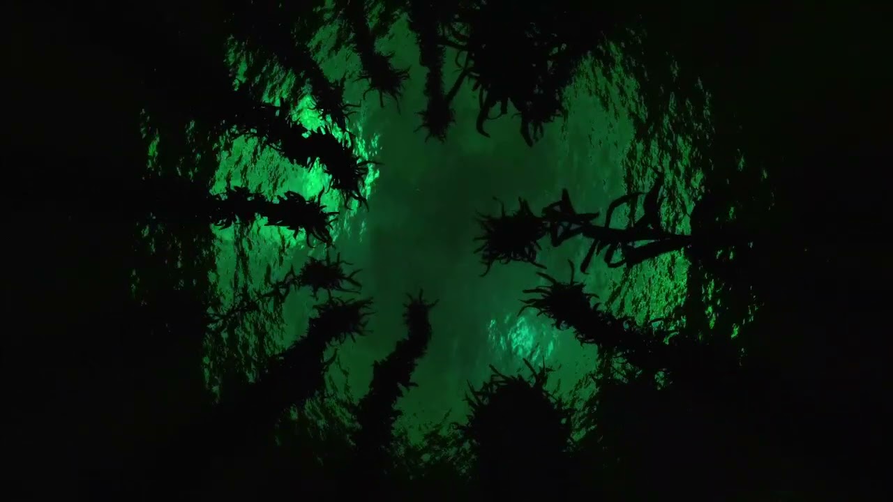 Subnautica - Kelp Forest Night Ambiance (underwater, music, sea creatures)