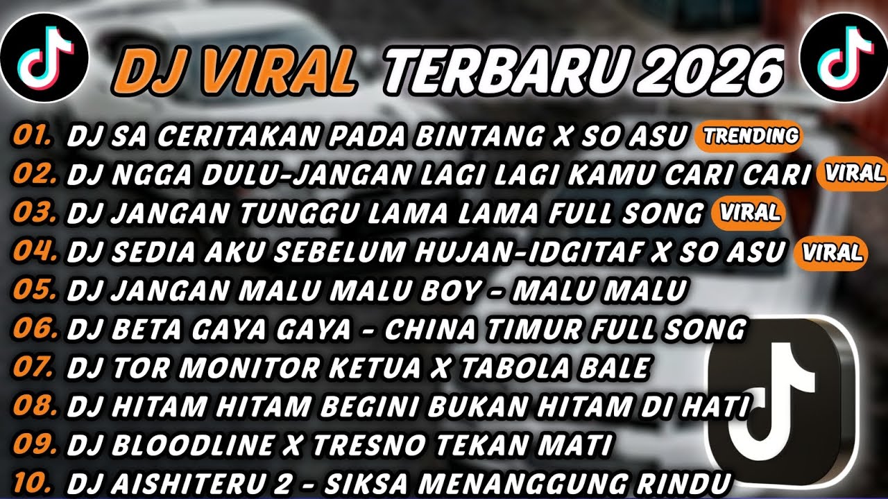 DJ TIKTOK TERBARU 2026 - DJ SA CERITAKAN PADA BINTANG X SO ASU🎵DJ NGGA DULU-JANGAN LAGI KAMU CARI🎵